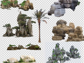 精品假山花草設(shè)計(jì)素材 花卉與苗木種植的視覺(jué)藝術(shù)