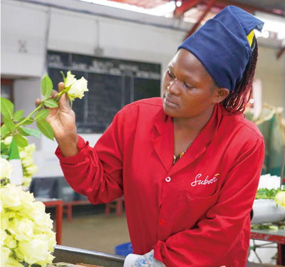 為非洲實(shí)現(xiàn)現(xiàn)代化創(chuàng)造機(jī)遇——訪(fǎng)肯尼亞總統(tǒng)魯托談苗木種植